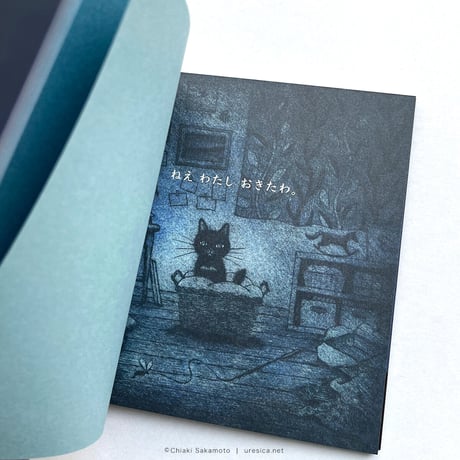 『ねこのねえ』坂本千明★サイン本