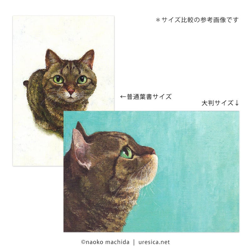 町田尚子「なまえのないねこ」大判ポストカード | URESICA