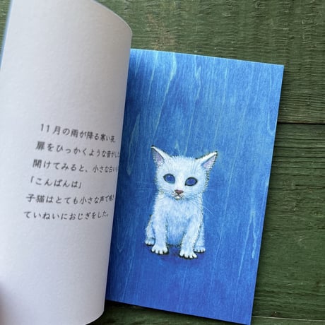 『11月の猫』猫野ぺすか★サイン本