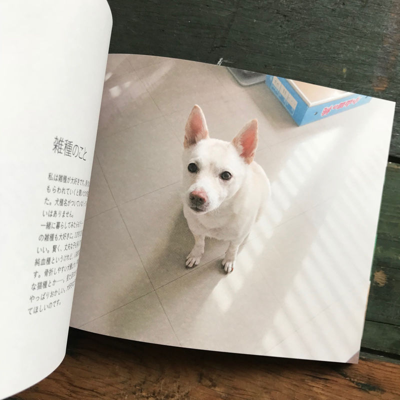 桑原奈津子『いっぴきとにひき』 | URESICA