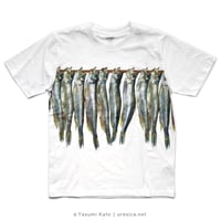 加藤休ミ　ししゃもTシャツ