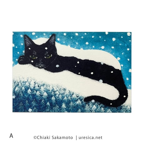 坂本千明　ポストカード（雪）