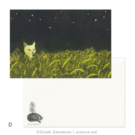 坂本千明　ポストカード（colors）