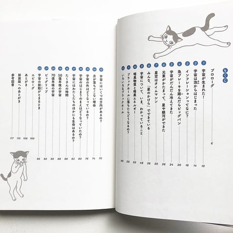 『宇宙のかけら』★片岡まみこ サイン本
