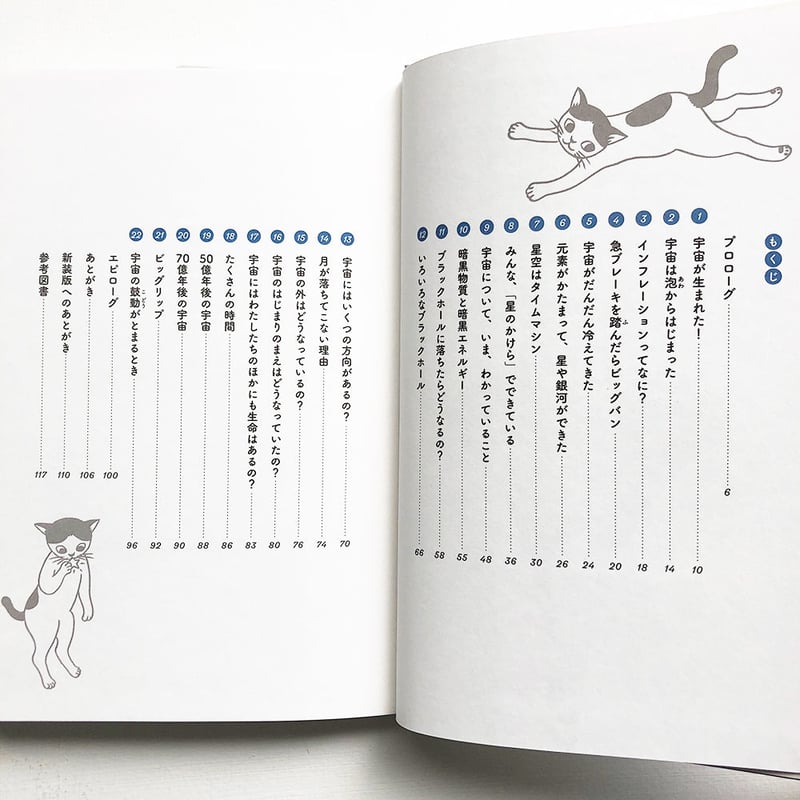 宇宙のかけら』☆片岡まみこ サイン本 | URESICA