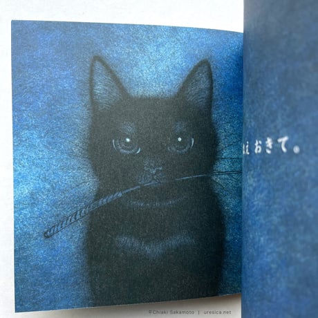 『ねこのねえ』坂本千明★サイン本