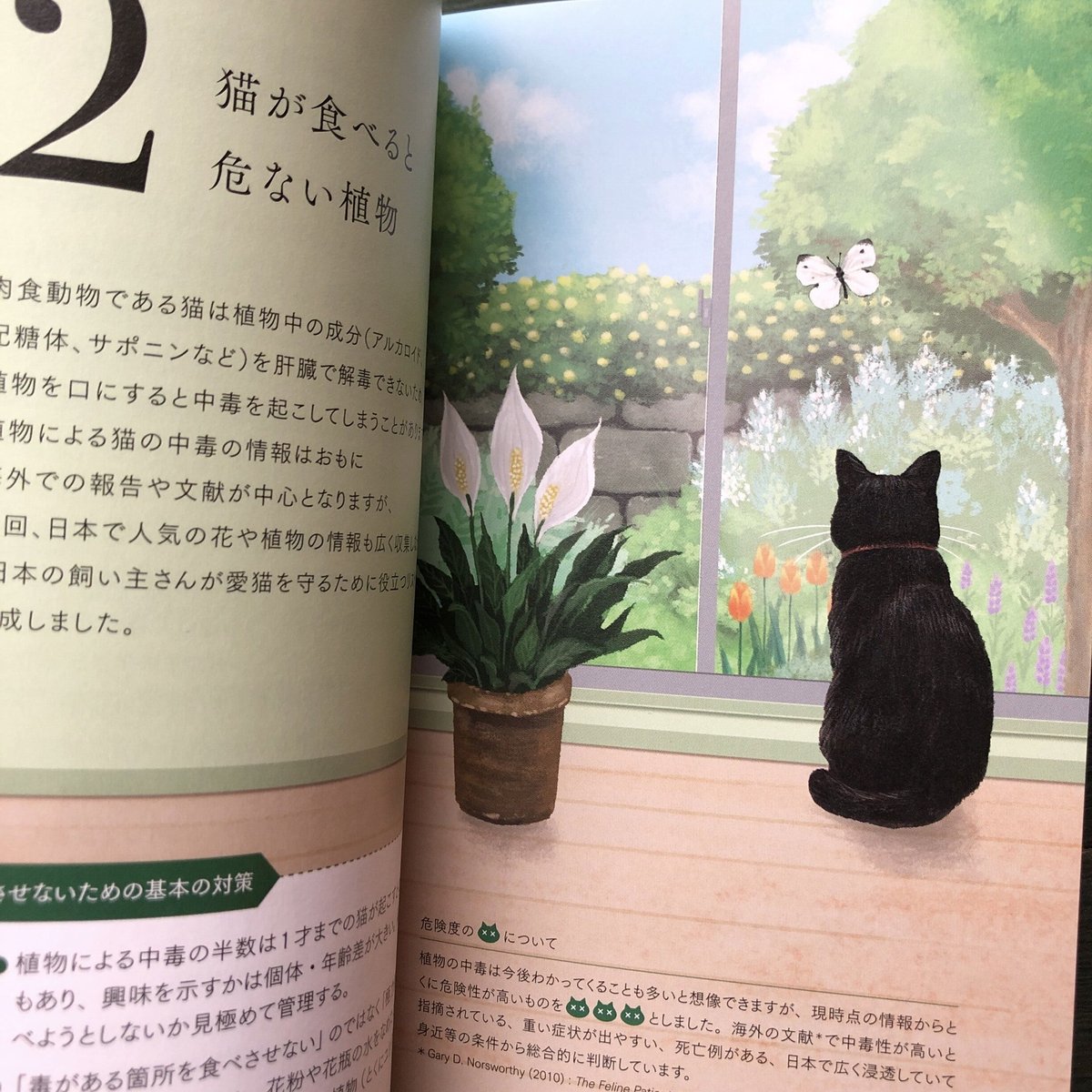猫が食べると危ない食品・植物・家の中の物図鑑』 | URESICA