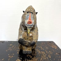山中正大　マンドリル