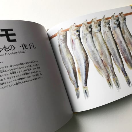 『クレヨンで描いた おいしい魚図鑑』加藤休ミ