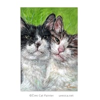 Čimi Cat Painter「びんぼん」チャリティーカード