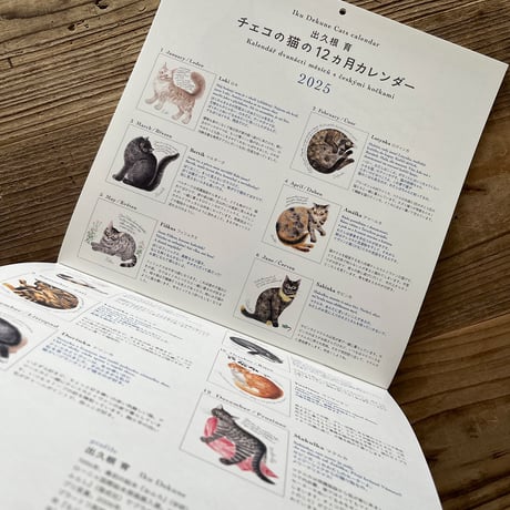 出久根育 チェコの猫の12カ月カレンダー2025
