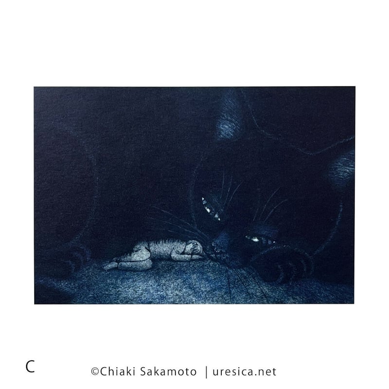 坂本千明　猫　版画 坂本千明 ポストカード（猫） | URESICA
