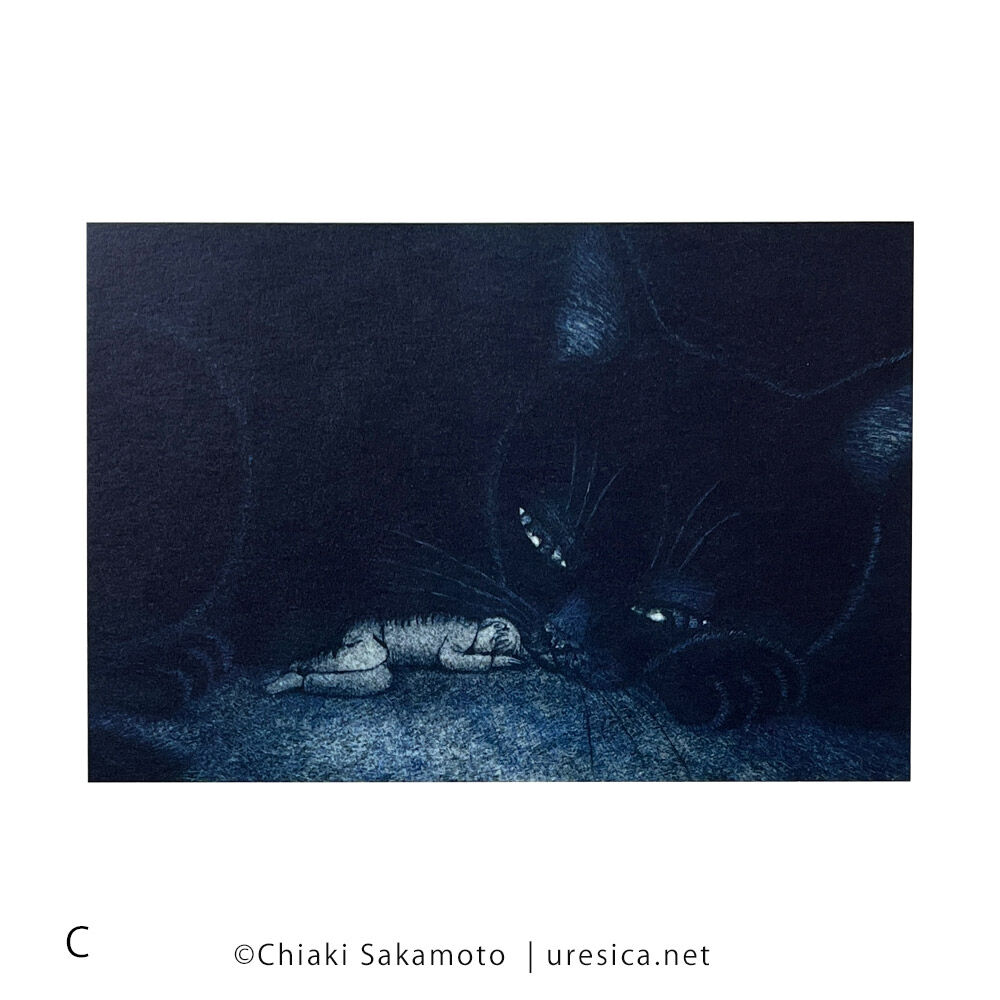坂本千明「ねこのねえ」ポストカード | URESICA