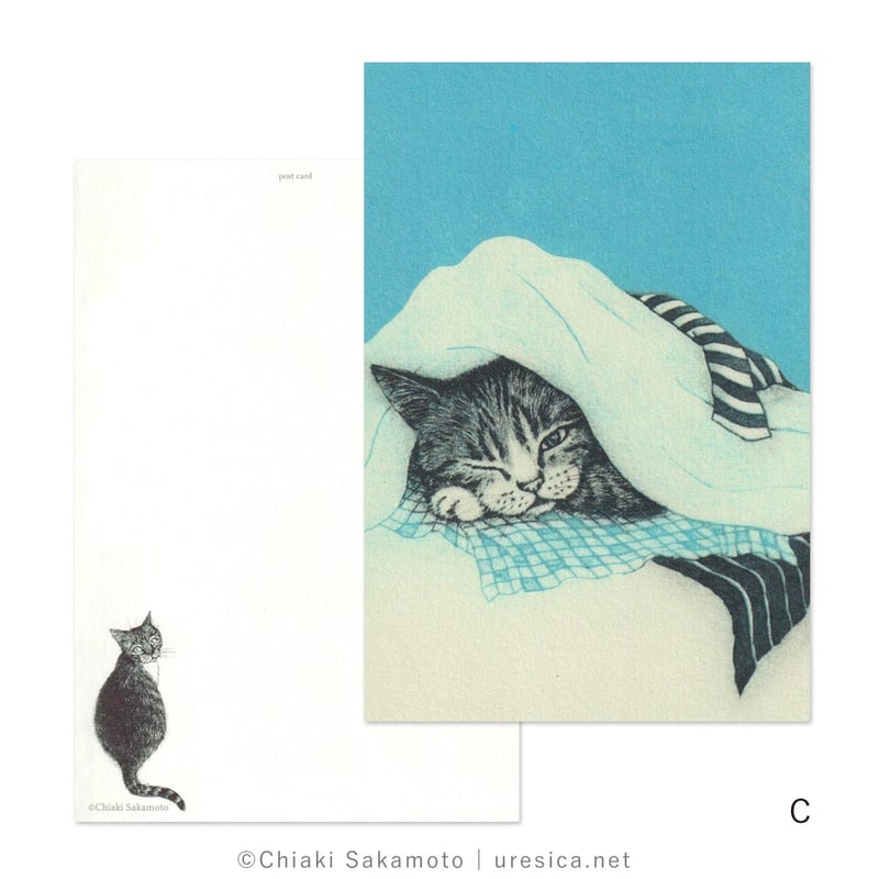 坂本千明 ポストカード（colors） | URESICA