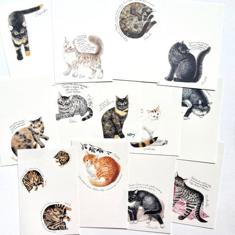 出久根育 チェコの猫の12カ月 ポストカードSET vol.2