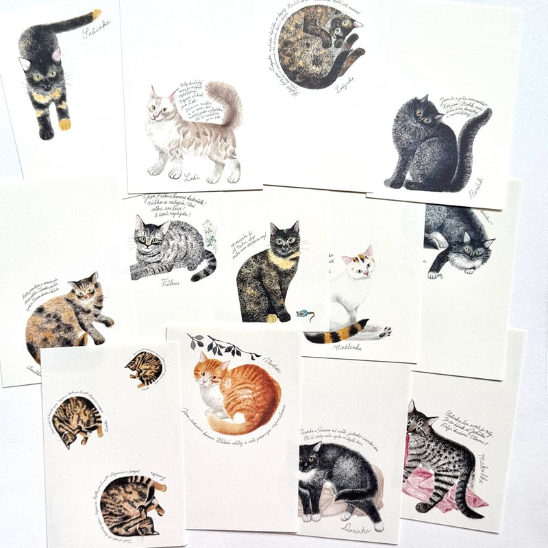出久根育 チェコの猫の12カ月 ポストカードSET vol.2 | URESICA