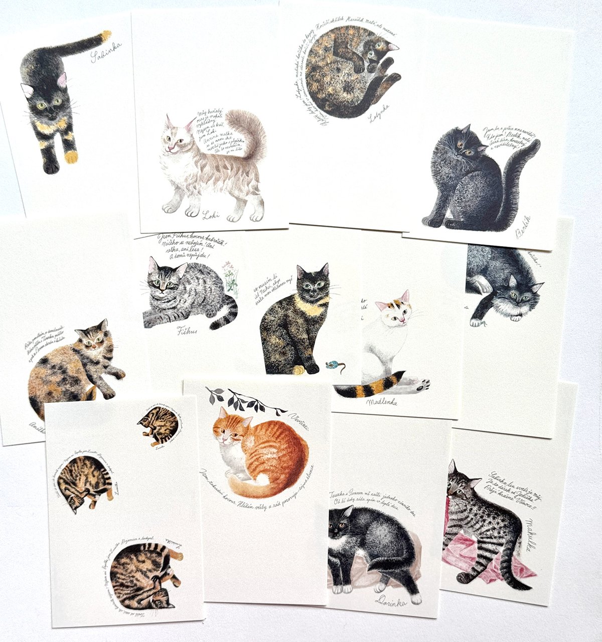 出久根育 チェコの猫の12カ月 ポストカードSET vol.2 | URESICA