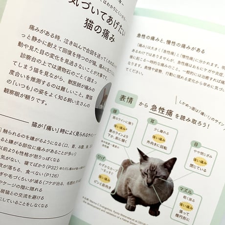 『猫の病気のサインがわかる図鑑』