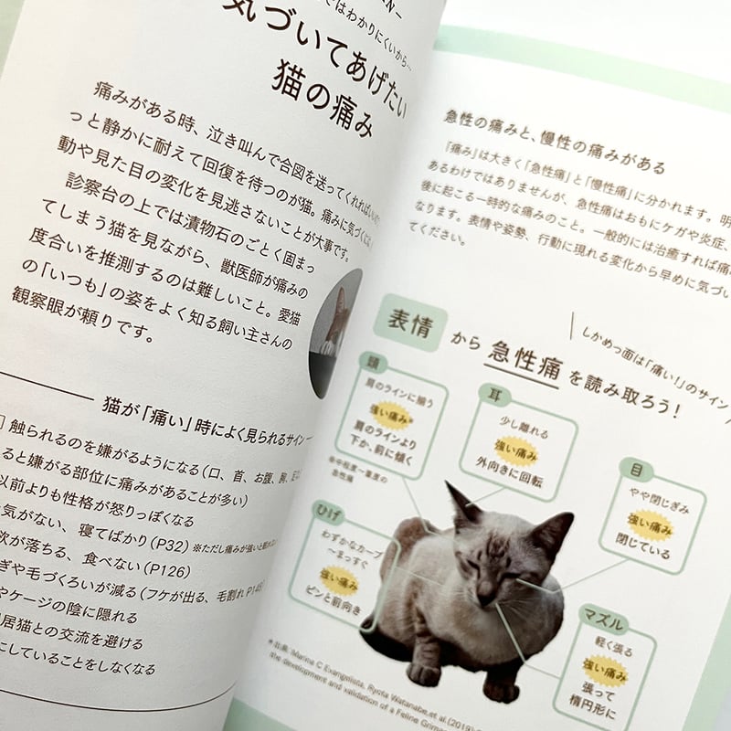 猫の病気のサインがわかる図鑑』 | URESICA