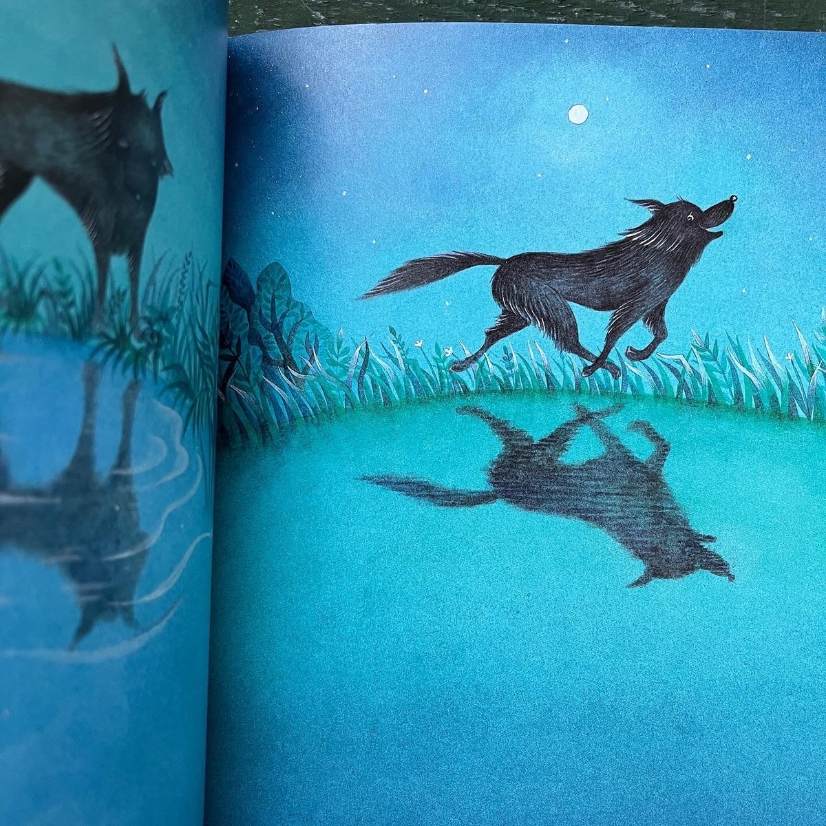 おおかみさま いっぴきおおかみとおほしさま』まつむらまいこ | URESICA