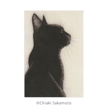 能登半島大震災チャリティ絵葉書5枚組「猫組」