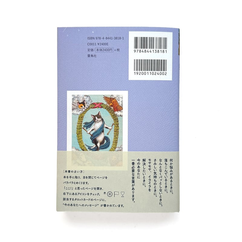 心をケアする猫タロット占い』 | URESICA