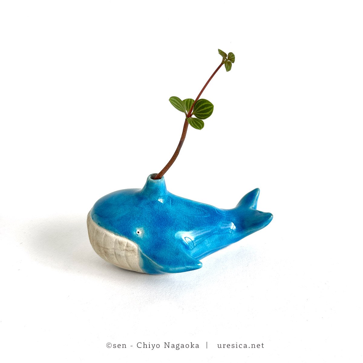 シーグラスアート（チャコちゃんとクジラちゃん〜夏〜）専用ページです☆ 長岡千陽 sen「くじらの花入れ」 | URESICA