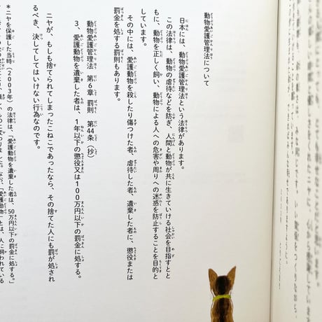 新装版『名なしのこねこ』とりごえまり