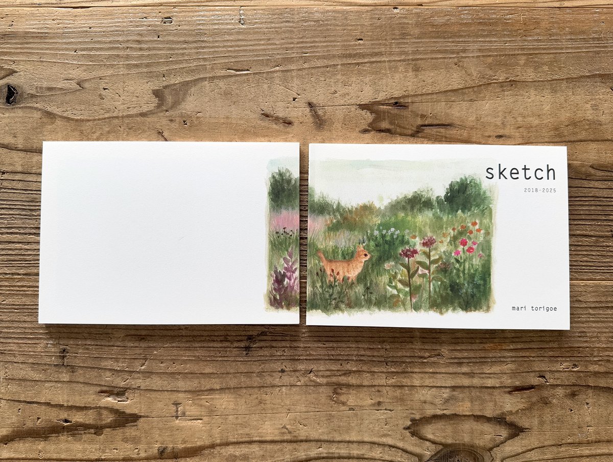 とりごえまりさんの原画(額縁付き) とりごえまり「sketch」☆サイン本 | URESICA