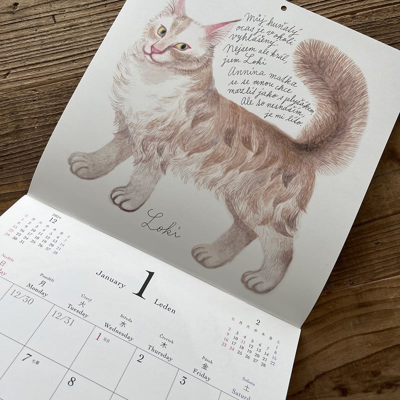 出久根育 チェコの猫の12カ月カレンダー2025 | URESICA 出久根育 チェコの猫の12カ月カレンダー2025 | URESICA