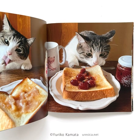 『ぼっちゃんつまみ食いダメよ』