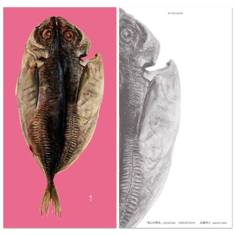 加藤休ミ おいしい魚 ポストカード（あじの開き） | URESICA