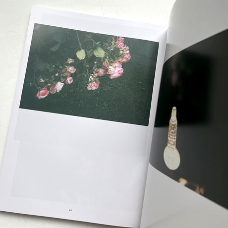 『アイム　Snapshots taken by homeless people.』