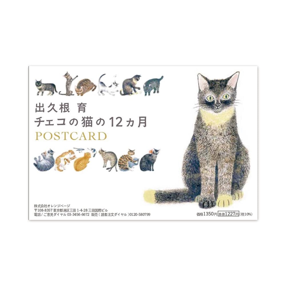 オーダーページ パネル 猫B  9/12 aꕀ⋆iまで オーダーページ パネル 猫B 9/12 aꕀ⋆iまで