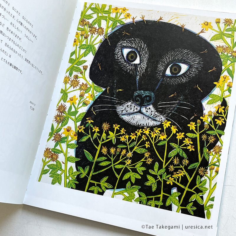 竹上妙 作品集『見たら見られた2』 | URESICA