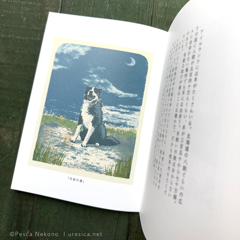 アイルランドの想い出』猫野ぺすか | URESICA