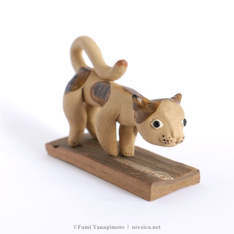 柳本史　猫２
