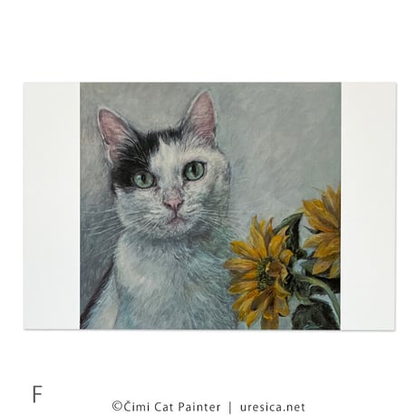Čimi Cat Painter  ポストカード２