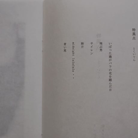 さかたきよこ タダジュン『特異点』第一号