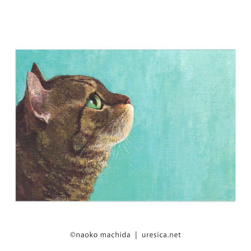 町田尚子「なまえのないねこ」大判ポストカード | URESICA