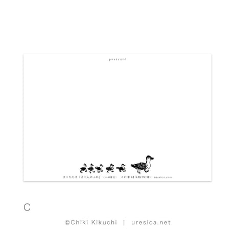 きくちちき 「さくらのふね」 ポストカード