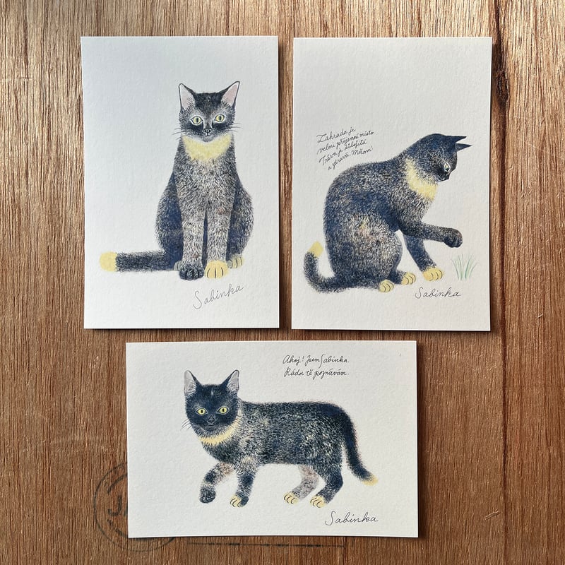 出久根育 チェコの猫の12カ月 ポストカードSET | URESICA