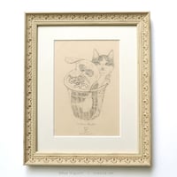 樋口佳絵「Menko」