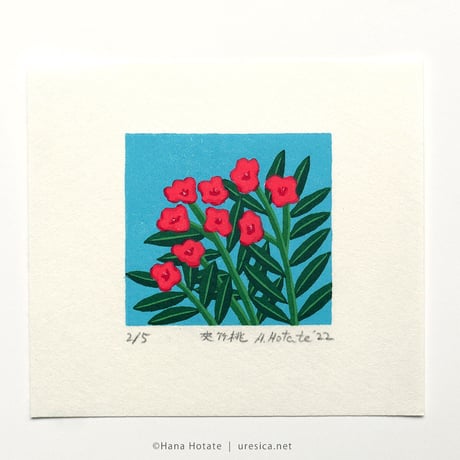 保立葉菜「夾竹桃」