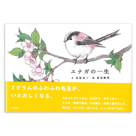 『エナガの一生』