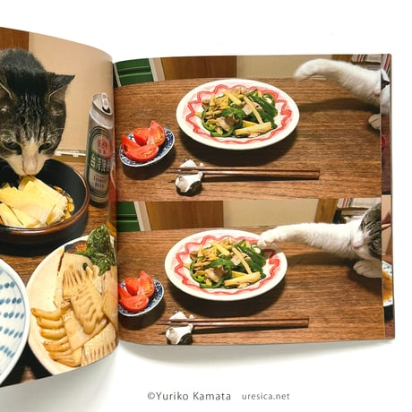 『ぼっちゃんつまみ食いダメよ』