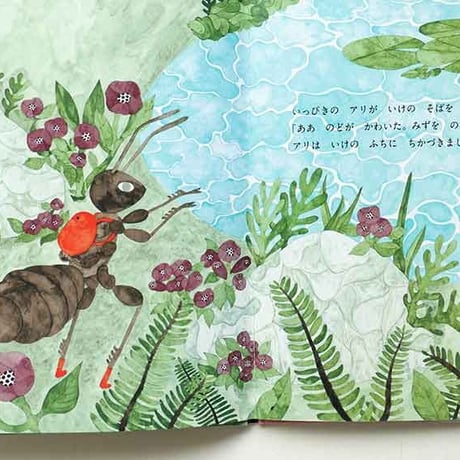 『アリとハト』★水沢そらサイン本