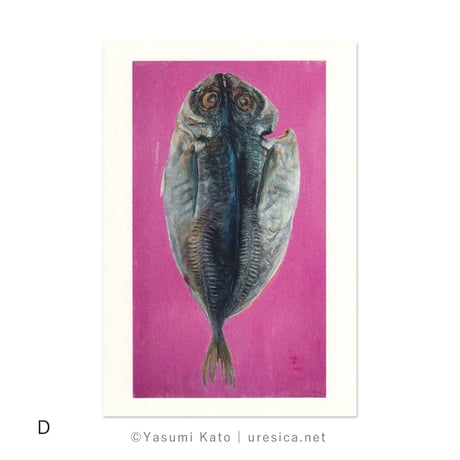加藤休ミ　お魚ポストカード