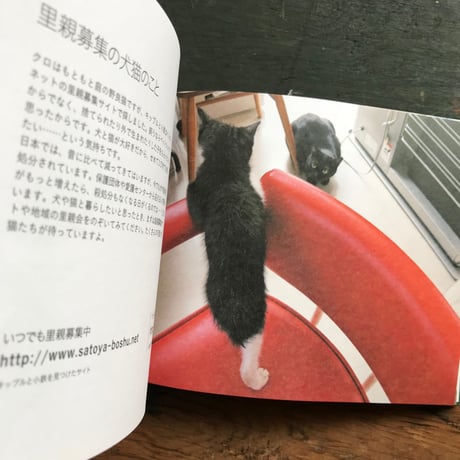 桑原奈津子『いっぴきとにひき』