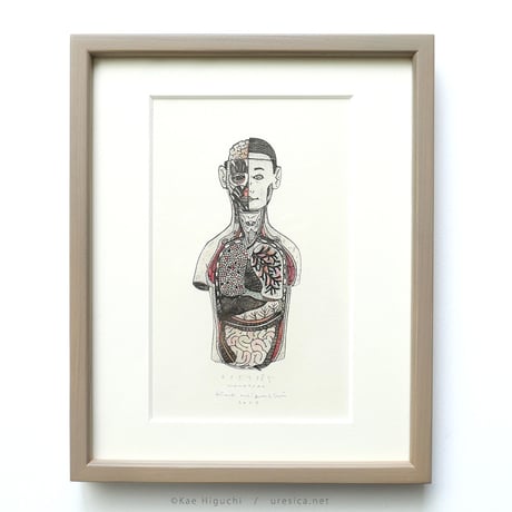 樋口佳絵「カイボウ模型」＊額装品